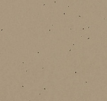 Линолеум Forbo Sphera Energetic 50209 nutmeg фото 1 | FLOORDEALER